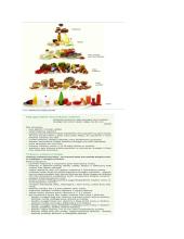 Mityba, vitaminai ir sveikata 5 puslapis