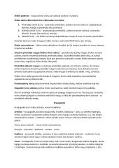 Kraujotakos sistema - teorinė medžiaga 2 puslapis