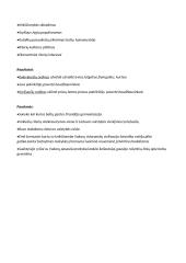 LDK visuomenės formavimasis 3 puslapis