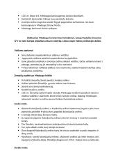 Lietuvos vienijimasis. Mindaugo valdoma Lietuva 2 puslapis