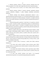 Komercinės parduotuvės santykiai su valstybės iždu 14 puslapis