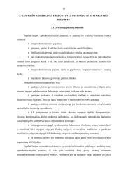 Komercinės parduotuvės santykiai su valstybės iždu 19 puslapis