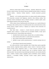 Komercinės parduotuvės santykiai su valstybės iždu 3 puslapis