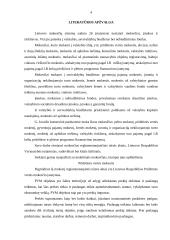 Komercinės parduotuvės santykiai su valstybės iždu 4 puslapis