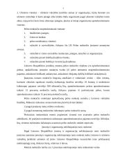 Komercinės parduotuvės santykiai su valstybės iždu 7 puslapis