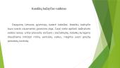 XIX a. antroji pusė - A. Baranausko gyvenamasis laikotarpis 3 puslapis