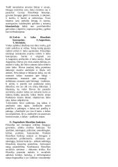 Teorija - filosofijos pagrindai 7 puslapis