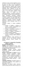 Teorija - filosofijos pagrindai 10 puslapis