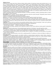 Filosofija ir pagrindiniai filosofai 3 puslapis