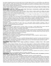 Filosofija ir pagrindiniai filosofai 4 puslapis