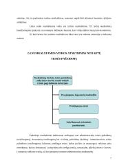 Nusikalstamos veikos samprata ir ypatumai 7 puslapis