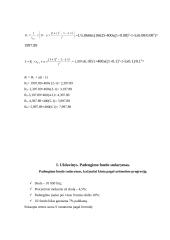 Finansinių pagrindų namų darbas 5 variantas 2 puslapis