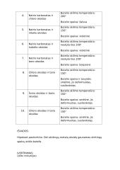 Stiklo gamyba     2 puslapis