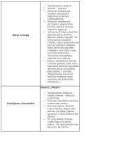 Šventės tema literatūroje 2 puslapis