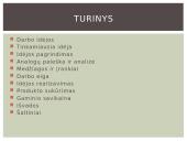 Technologijų baigiamasis darbas 2 puslapis