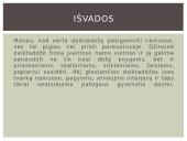 Technologijų baigiamasis darbas 12 puslapis