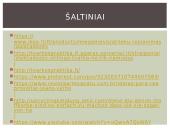 Technologijų baigiamasis darbas 13 puslapis