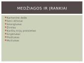 Technologijų baigiamasis darbas 7 puslapis