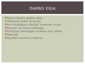 Technologijų baigiamasis darbas 8 puslapis