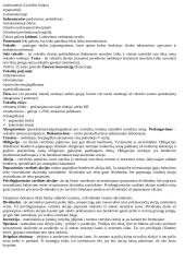 Gera finansų teorija 3 puslapis