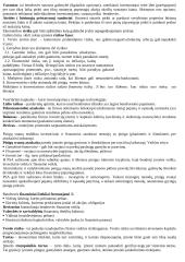 Gera finansų teorija 4 puslapis