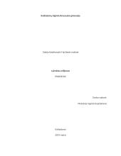 Laimėtas milijonas. Projektas
