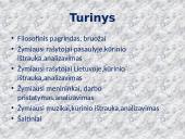 Ekspresionizmas (išreiškimas, išraiškingumas, išraiška)  2 puslapis