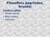 Ekspresionizmas (išreiškimas, išraiškingumas, išraiška)  5 puslapis