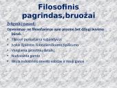 Ekspresionizmas (išreiškimas, išraiškingumas, išraiška)  6 puslapis