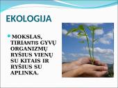 Ekosistema. Bendrija. Funkcinės karalijos  2 puslapis