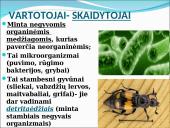 Ekosistema. Bendrija. Funkcinės karalijos  11 puslapis