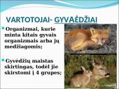 Ekosistema. Bendrija. Funkcinės karalijos  12 puslapis