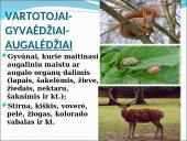 Ekosistema. Bendrija. Funkcinės karalijos  13 puslapis