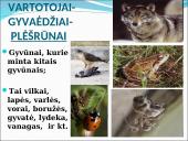 Ekosistema. Bendrija. Funkcinės karalijos  14 puslapis