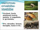 Ekosistema. Bendrija. Funkcinės karalijos  15 puslapis