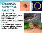 Ekosistema. Bendrija. Funkcinės karalijos  16 puslapis