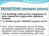Ekosistema. Bendrija. Funkcinės karalijos  4 puslapis