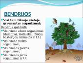 Ekosistema. Bendrija. Funkcinės karalijos  5 puslapis