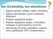 Ekosistema. Bendrija. Funkcinės karalijos  6 puslapis