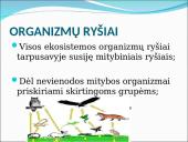 Ekosistema. Bendrija. Funkcinės karalijos  7 puslapis