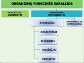 Ekosistema. Bendrija. Funkcinės karalijos  8 puslapis