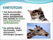 Ekosistema. Bendrija. Funkcinės karalijos  10 puslapis