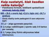 Tinkama ir netinkama mityba 12 puslapis