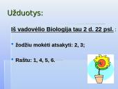 Tinkama ir netinkama mityba 20 puslapis