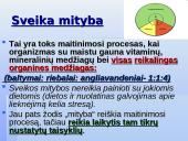 Tinkama ir netinkama mityba 4 puslapis