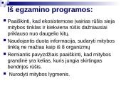 Mitybos grandinės ir tinklai 2 puslapis