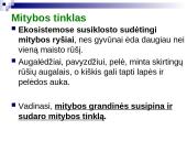 Mitybos grandinės ir tinklai 12 puslapis