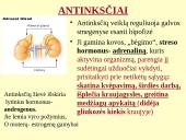 Homeostazę palaikančios vidaus sekrecijos liaukos 12 puslapis