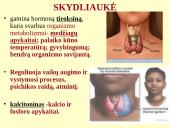 Homeostazę palaikančios vidaus sekrecijos liaukos 13 puslapis