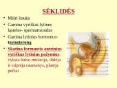 Homeostazę palaikančios vidaus sekrecijos liaukos 16 puslapis